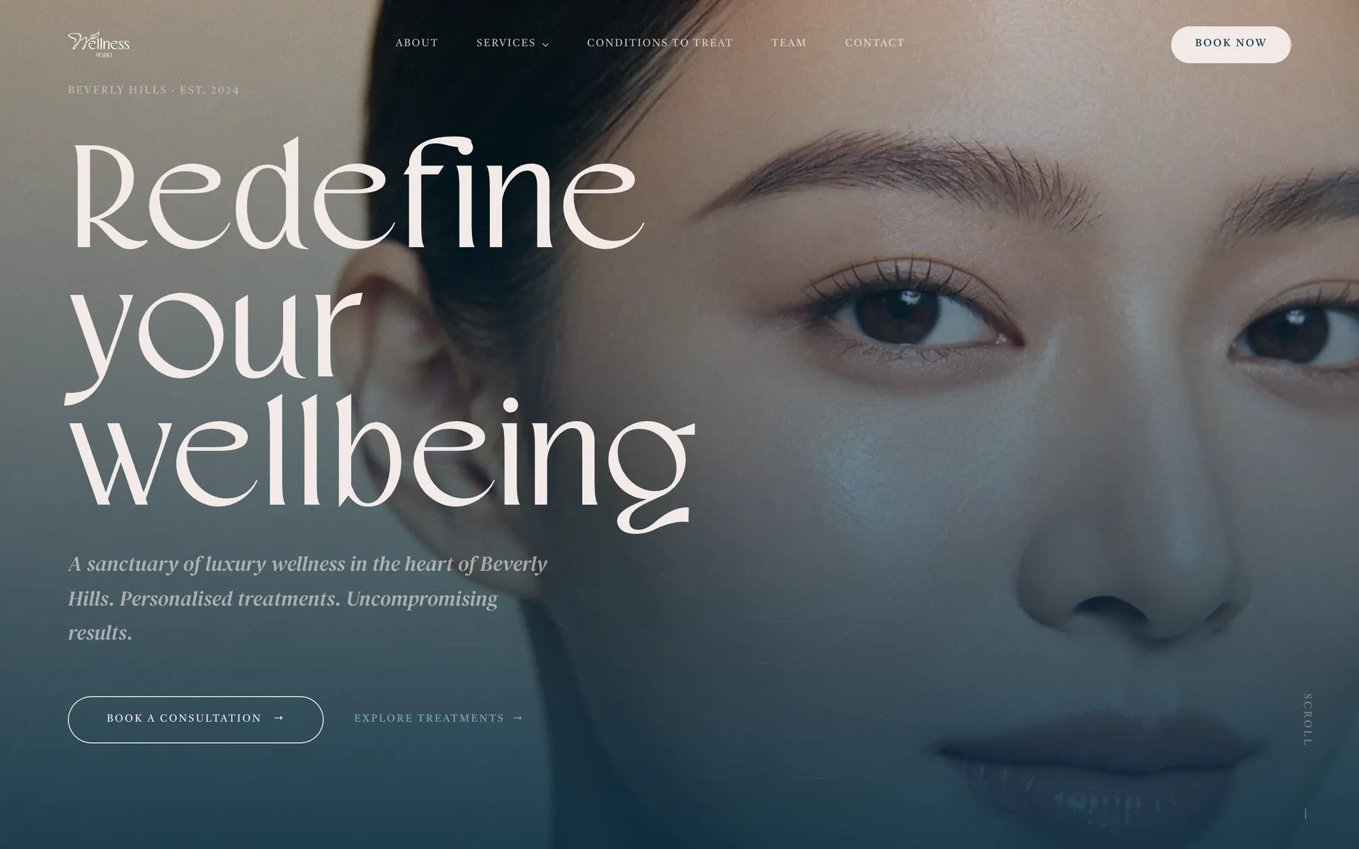 Wellness 90210 preview