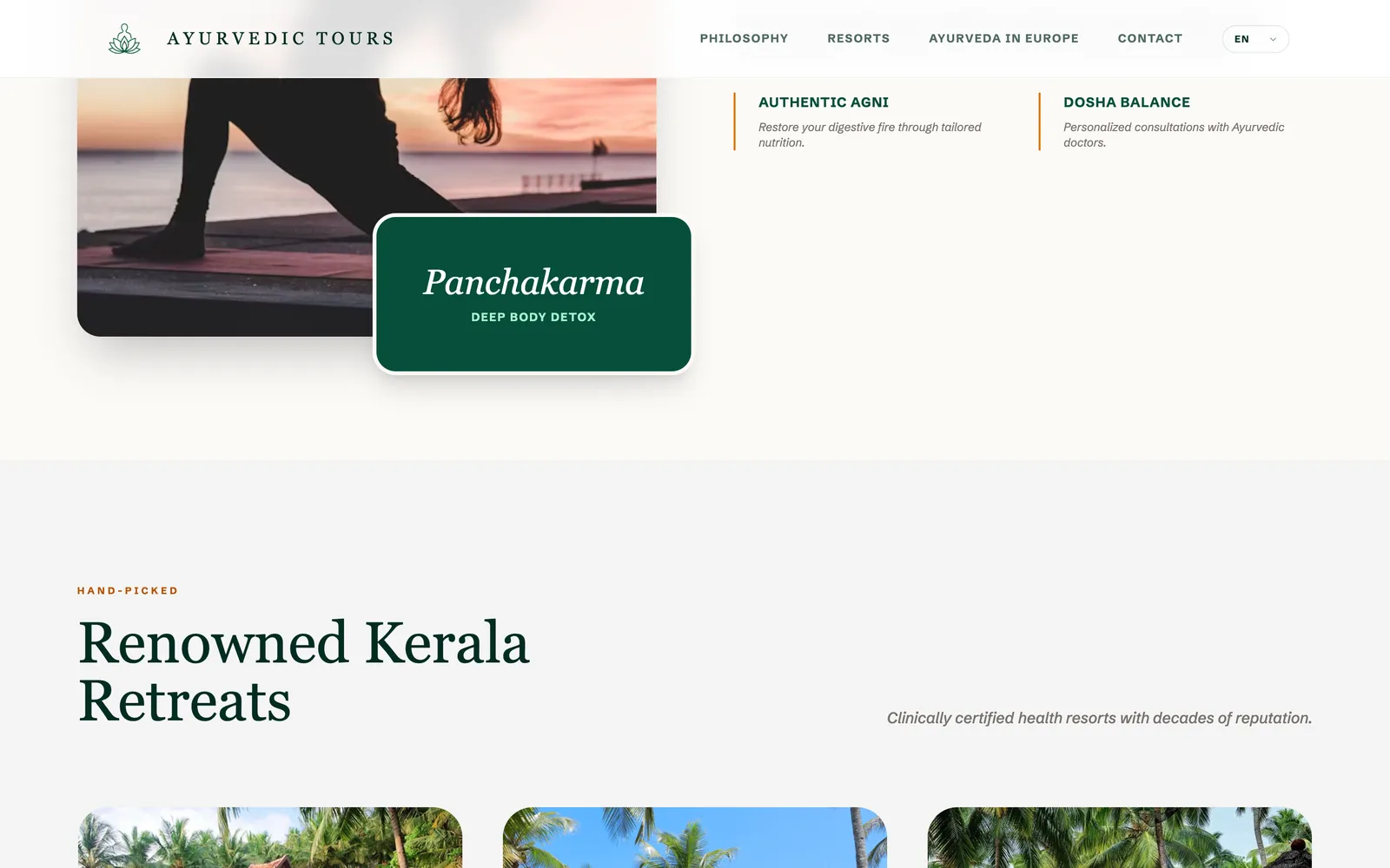 Ayurvedic Tours screen 1